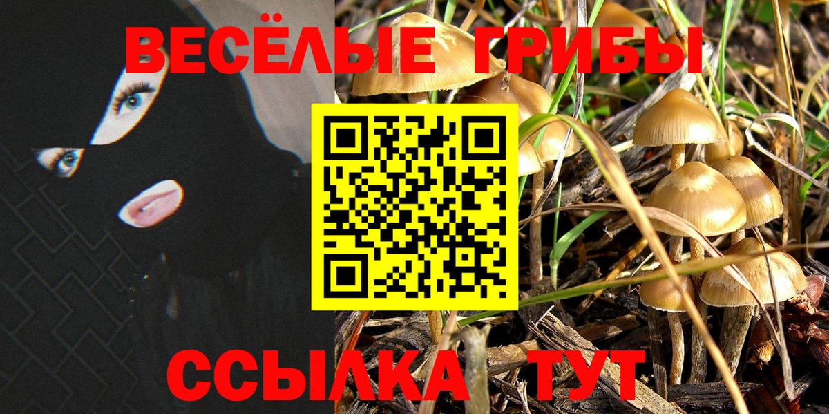 Галлюциногенные грибы мицелий  Вход с VPN  Кунгур 